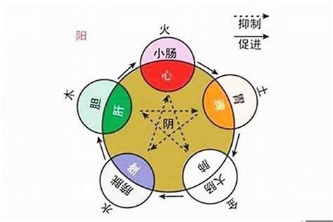 祐 五行|祐字的五行属性是什么